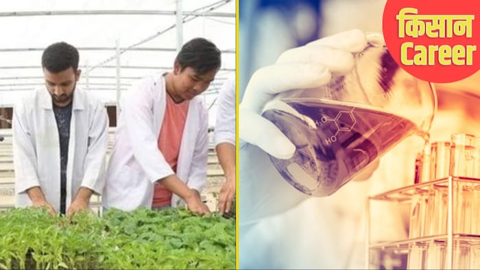 कृषि क्षेत्र में बनाएं करियर. (सांकेतिक फोटो)