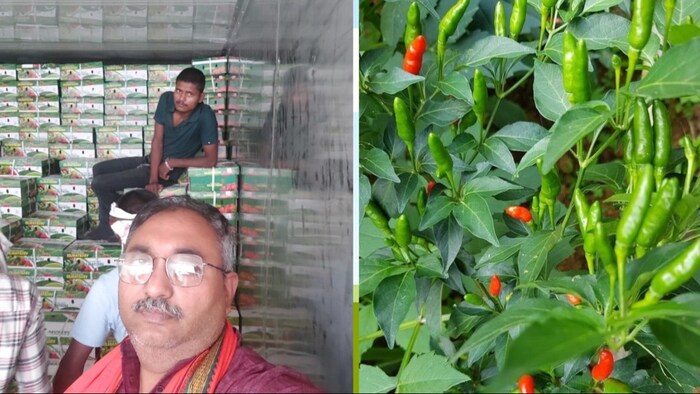 हरी मिर्च की खेती करने वाले गाजीपुर जिले के किसान डॉ. रामकुमार राय (Photo-Kisan Tak)