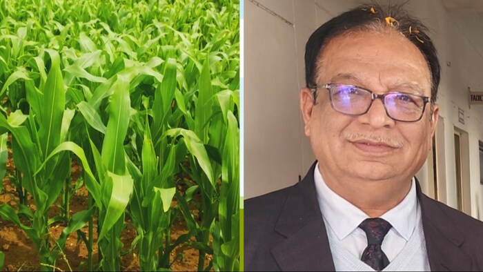 वरिष्ठ कृषि एक्सपर्ट डॉ. दीपक मेहंदीरत्ता (Photo-Kisan Tak)