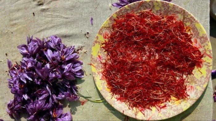 केसर दुनिया के सबसे महंगे मसालों में से एक है और इसे कई प्रोडक्ट में इस्तेमाल किया जाता है.