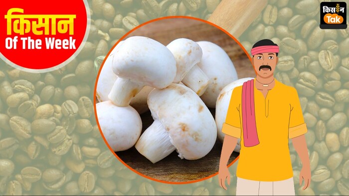 मशरूम कॉफी उत्पाद