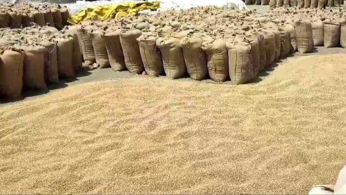 अनाज का भंडारण कैसे करें किसान.