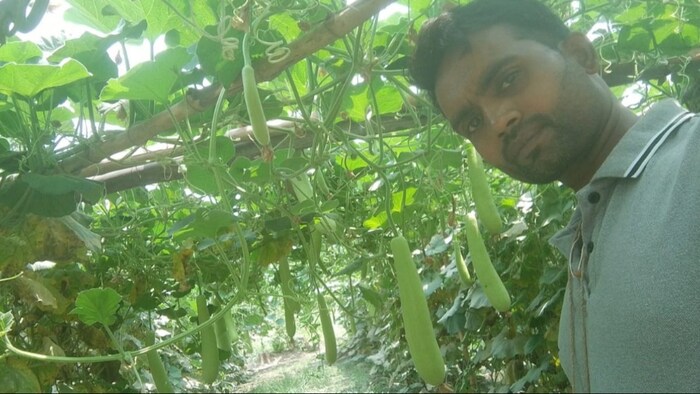 रायबरेली के शिवगंज गांव के रहने वाले युवा किसान आनंद कुमार (Photo-Kisan Tak)