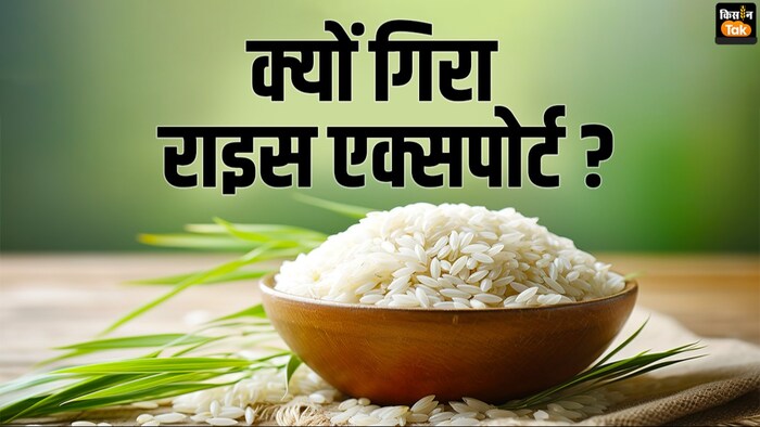 चावल निर्यात में भारी कमी.