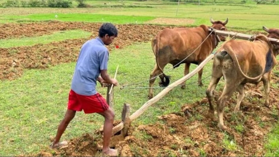तेलंगाना में CM रेड्डी के निर्देश पर किसानों का लोन होगा माफ, धान खरीद में आएगी तेजी तेलंगाना में CM रेड्डी के निर्देश पर किसानों का लोन होगा माफ, धान खरीद में आएगी तेजी