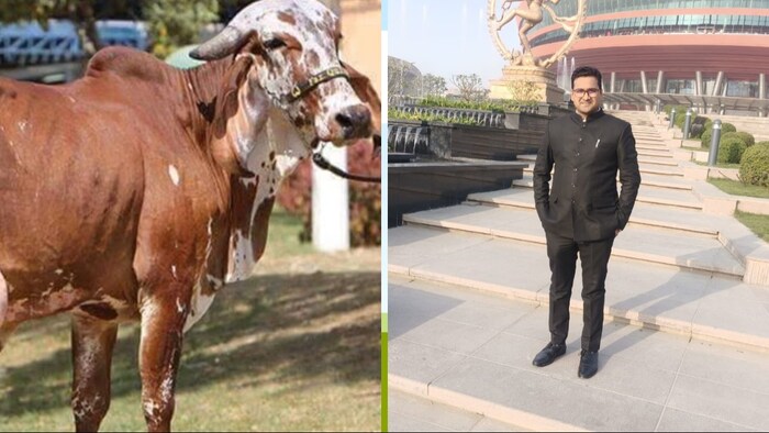 गिर गाय बदल सकती है किसानों की किस्मत (Photo-Kisan Tak)