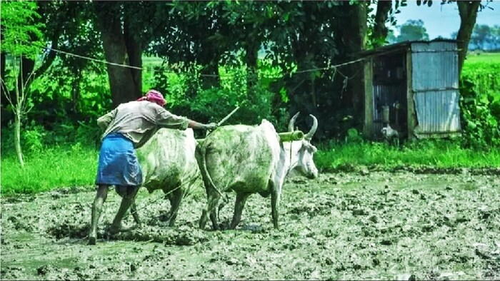 राज्य कृषि विश्वविद्यालयों के काम को प्रभावी बनाने की तैयारी.