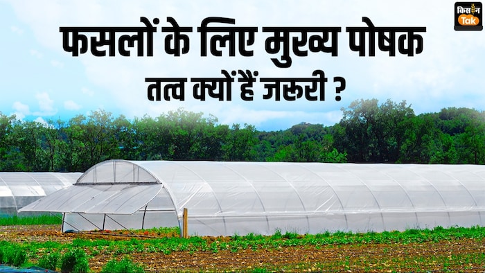 फसलों के लिए पोषक तत्वों की कमी बड़ी समस्या है