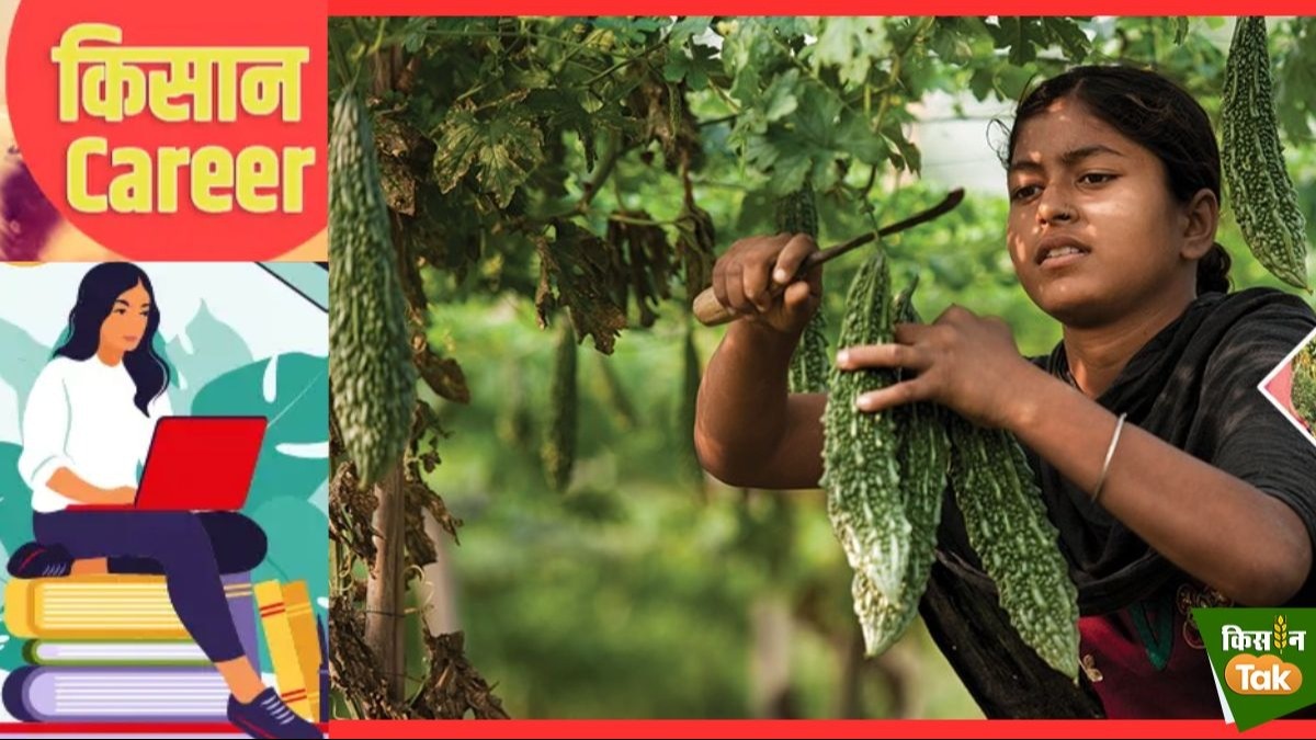 केंद्र-राज्य सरकारें खाद्य विभाग में ऐसी वैकेंसी निकालती हैं, जिनके लिए फूड सेफ्टी से जुड़ी पढ़ाई अनिवार्य है.