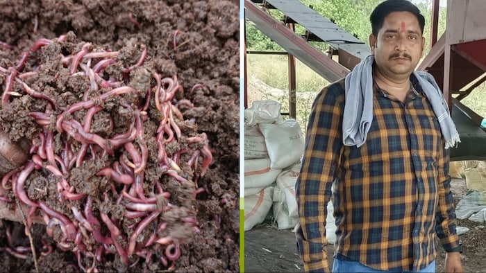 शाहजहांपुर के नबीपुर गांव के रहने वाले किसान ज्ञानेश तिवारी (Photo-Kisan Tak)