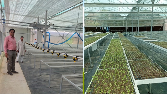 मेरठ मंडल के उद्यान विभाग के उपनिदेशक डॉ. विनीत कुमार (Photo-Kisan Tak)