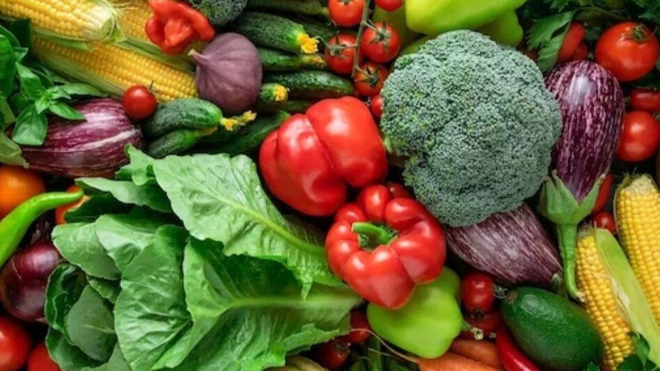 Green vegetables price: हरी सब्जियों के दाम में भारी गिरावट, कीमत न मिलने पर पशुओं को खिलाने को मजबूर हुए किसान Green vegetables price: हरी सब्जियों के दाम में भारी गिरावट, कीमत न मिलने पर पशुओं को खिलाने को मजबूर हुए किसान