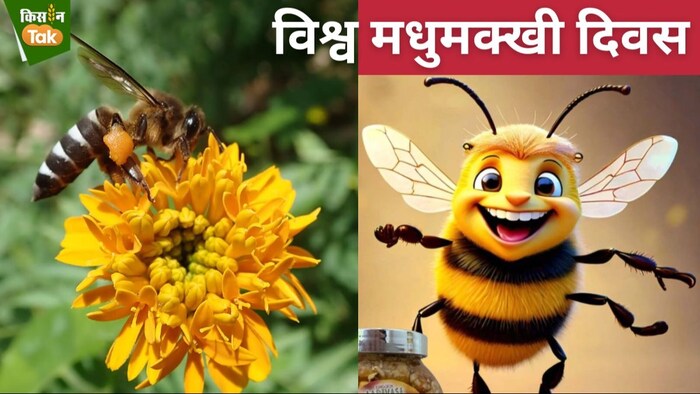 मधुमक्खी पालन दुनिया भर के इकोसिस्टम को हेल्दी बनाए रखने में मदद करता है.