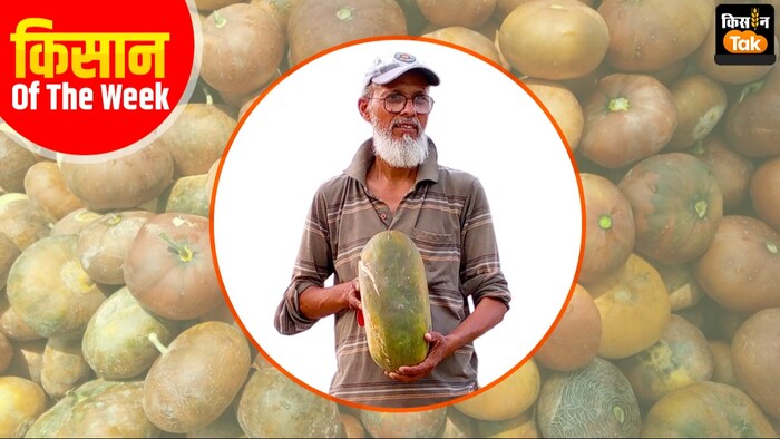 खरबूजे से बढ़ी किसान की कमाई