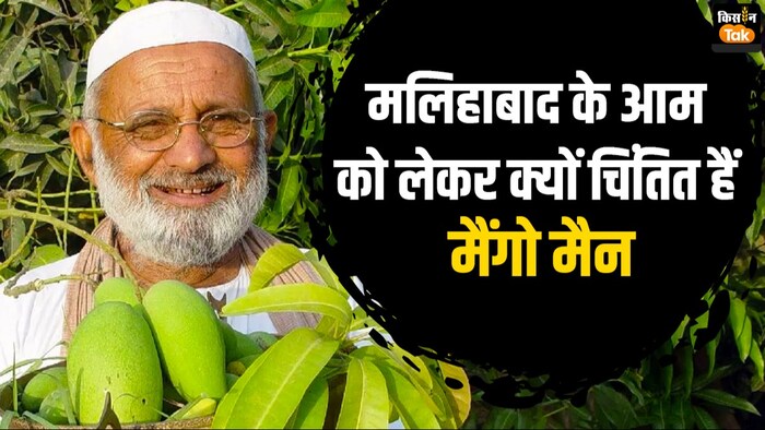 मलिहाबाद में आम के बागों की हालत खराब