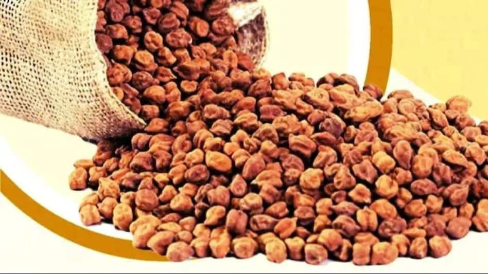 राजस्थान में गेहूं, सरसों और चने का कितना चल रहा भाव, बिक्री से पहले जान लें किसान राजस्थान में गेहूं, सरसों और चने का कितना चल रहा भाव, बिक्री से पहले जान लें किसान