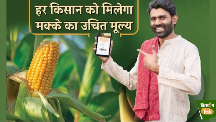 2023-24 के लिए मक्का के एमएसपी रेट में 92 रुपये की बढ़ोत्तरी की है.