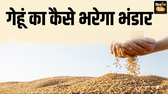 गेहूं खरीद का कैसे पूरा होगा टारगेट.
