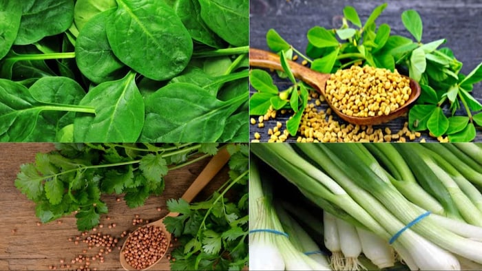 सब्जियों के बीज