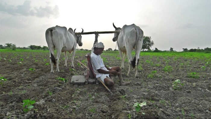 तेलंगाना में किसानों को याद आए बंटवारे से पहले वाले दिन