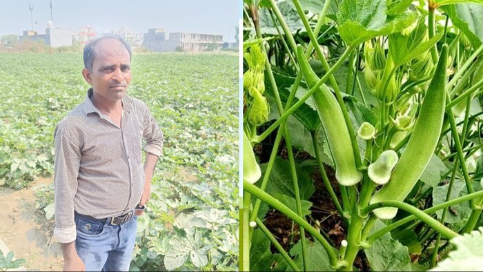 लखनऊ मड़ियांव के सरियां टोला गांव निवासी किसान रामबली (Photo-Kisan Tak)