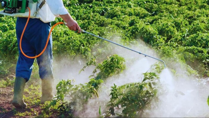 सिलिकॉन स्प्रे