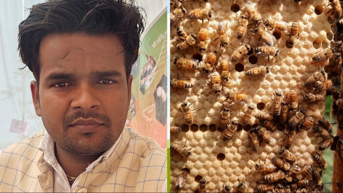 मधुमक्खी पालन करने वाले बाराबंकी के दरावपुर गांव के रहने वाले युवा किसान अजीत कुमार (Photo-Kisan Tak)