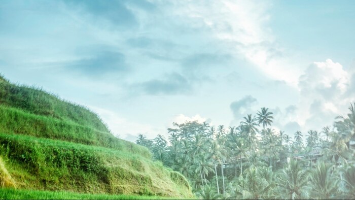 किसानों के लिए बारिश के मौसम में बचने के निर्देश