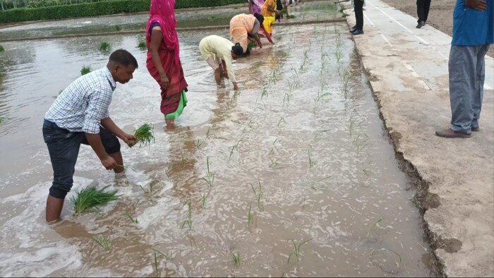 किसानों को मौके पर ही सब्सिडी काट कर भुगतान करना होगा. (Photo-Kisan Tak)