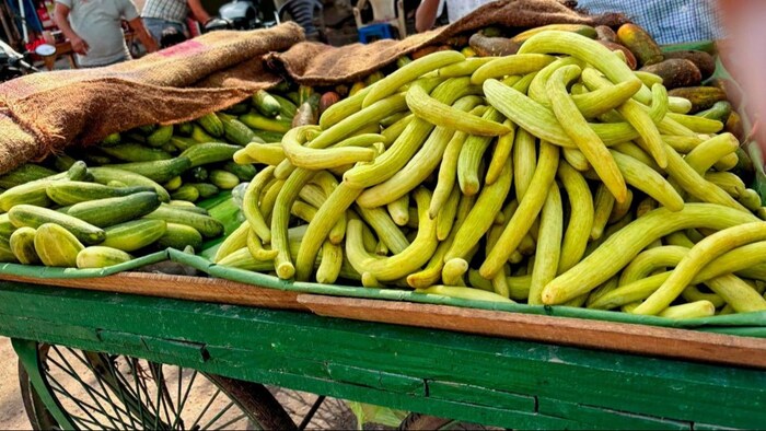 खीरा खरीदने के टिप्स