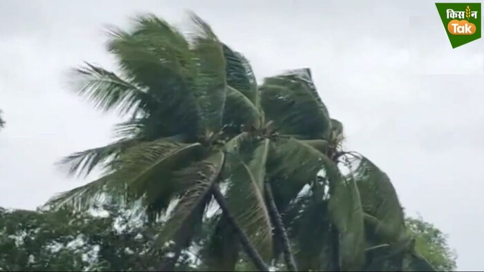 रेमल चक्रवात की वजह से यातायात सेवाएं प्रभवित हुई हैं.