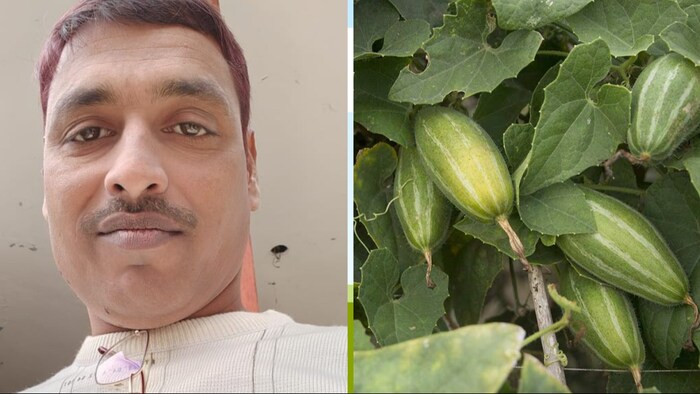 परवल की खेती करने वाले अमेठी के बरगांव निवासी युवा किसान यशकेंद्र सिंह (Photo-Kisan Tak)