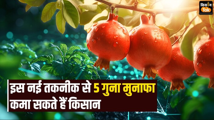 इंटीग्रेटेड फार्मिंग सिस्टम