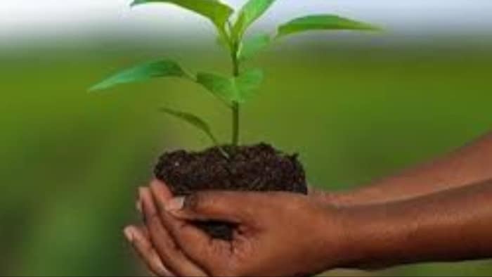 जैविक खेती की हेल्थ और पर्यावरण दोनो के लिए बेहतर