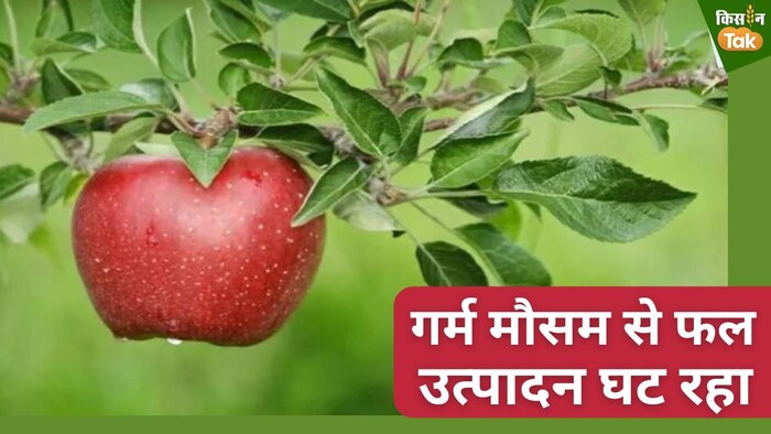 उत्तराखंड में फलों के उत्पादन में 30 प्रतिशत की कमी भी देखी गई है.