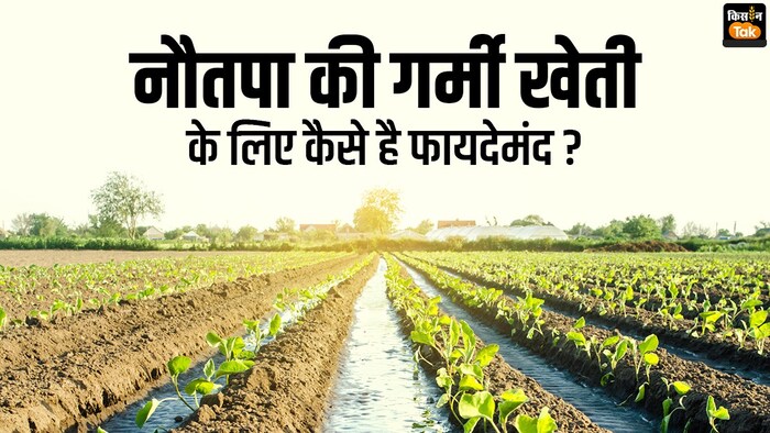 नौतपा की गर्मी से फसलों को बचाना जरूरी