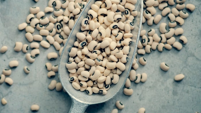 लोबिया को एक दाल वाली फसल कहा जाता है