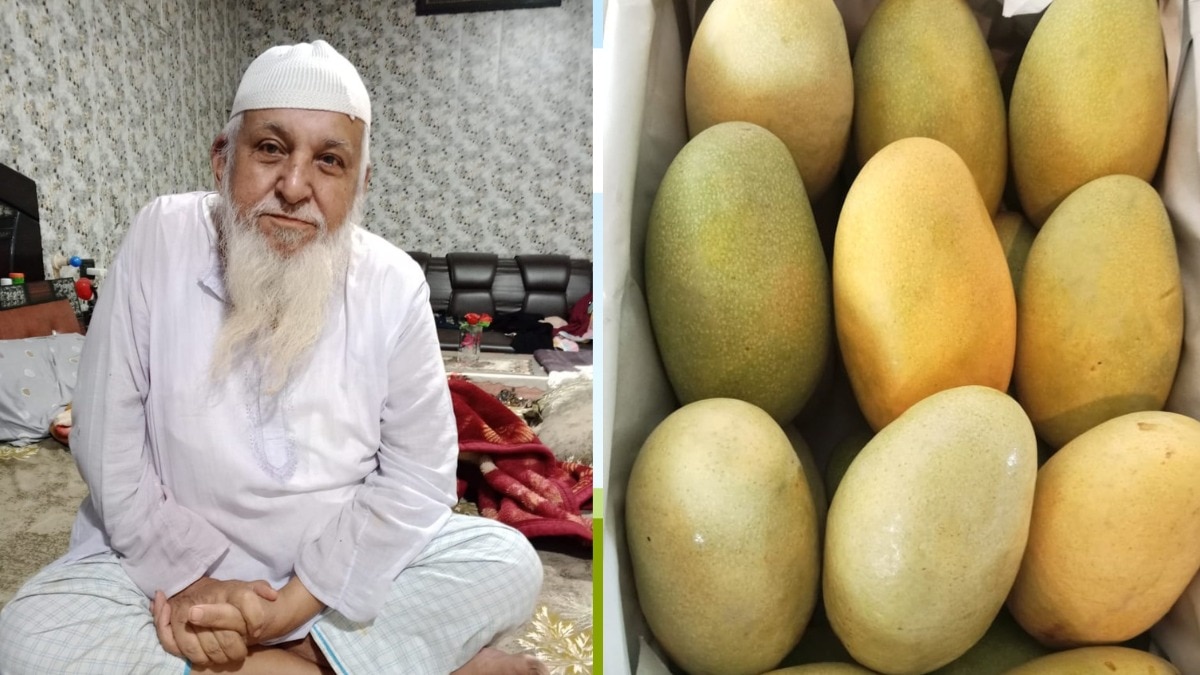 Mango Story: दशहरी समेत 200 तरह के आम उगा रहे हैं शाहजहांपुर के किसान मुशीर, एक सीजन में 700 क्विंटल की पैदावार