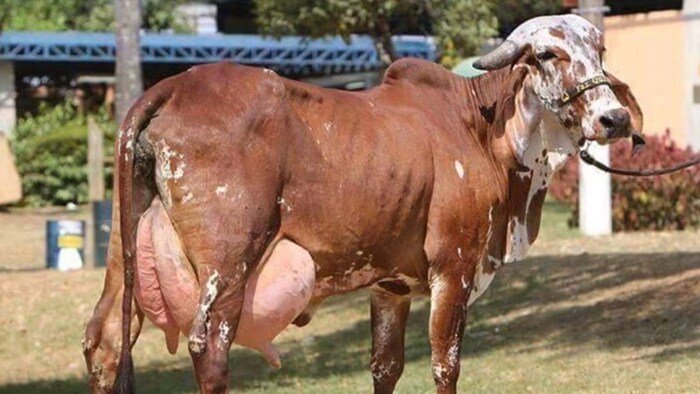 संवेदशनशील जिलों पर विशेष निगरानी, 24 घंटे में पीड़ितों को मुआवजा देने के निर्देश (Photo-kisan tak)