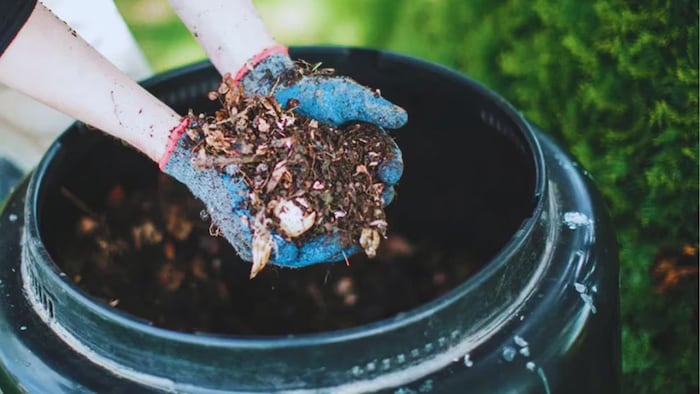 प्याज के छिलके से बनाएं खाद