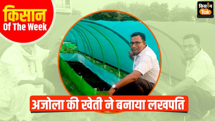 अजोला की खेती से कमाई