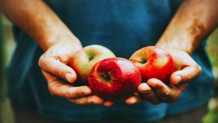 सेब के फायदे