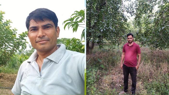 बागपत में नाशपाती की खेती करने वाले सचिन त्यागी और शेखर त्यागी (Photo-Kisan Tak)