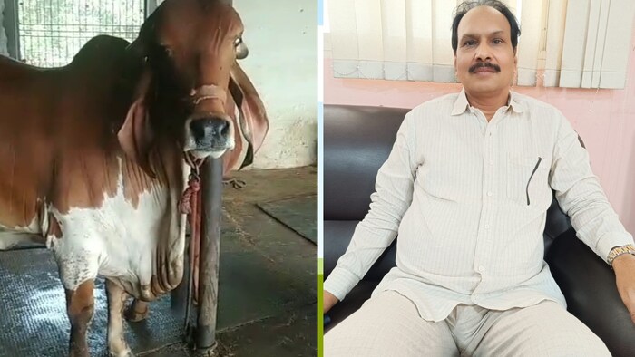 यूपी के देवरिया जिले के रहने वाले सफल किसान श्रीनाथ तिवारी (Photo-Kisan Tak)