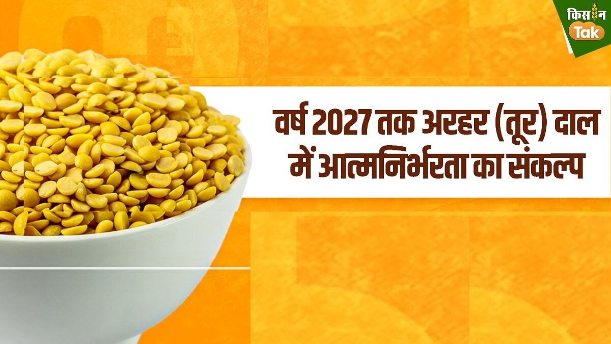 सरकार किसानों से दाल की खरीद न्यूनतम समर्थन मूल्य यानी एमएसपी पर करेगी.