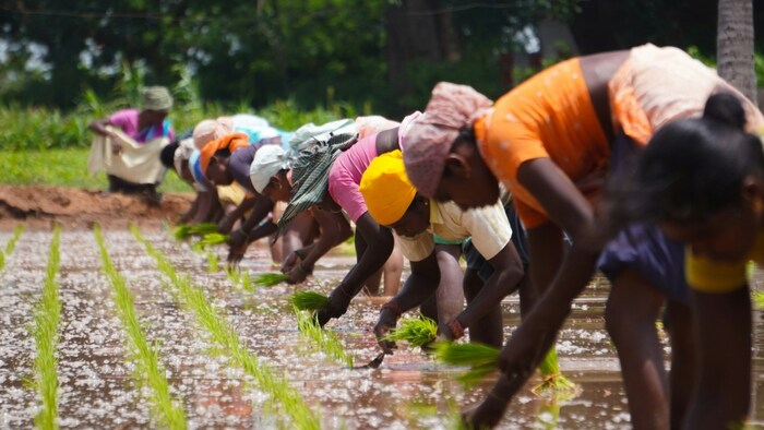 कर्नाटक के किसानों को मिले 3000 रुपये