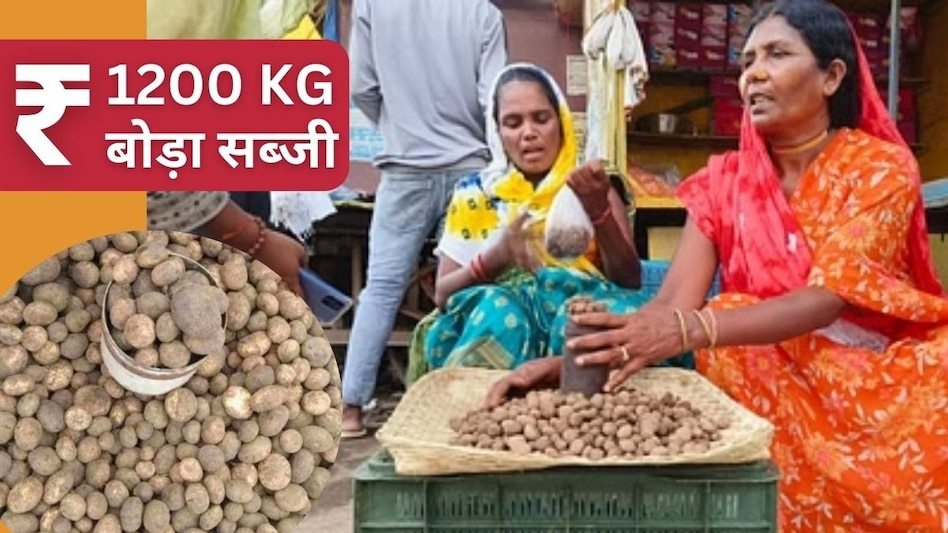 1200 रुपये में बिकती है बोड़ा सब्जी, छत्तीसगढ़ के बाजारों में आवक शुरू, कई गंभीर बीमारियों के लिए दवा से कम नहीं   1200 रुपये में बिकती है बोड़ा सब्जी, छत्तीसगढ़ के बाजारों में आवक शुरू, कई गंभीर बीमारियों के लिए दवा से कम नहीं