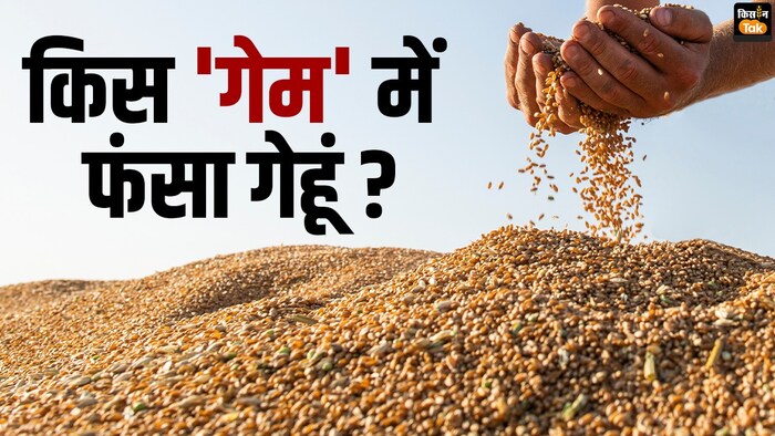 क्यों बढ़ रहा है गेहूं का दाम.