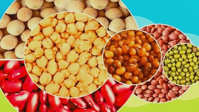 किस चीज की वैरायटी है PA-6