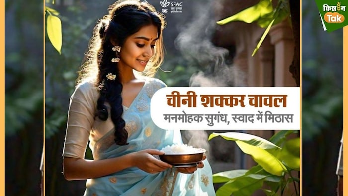 चीनी शक्कर चावल